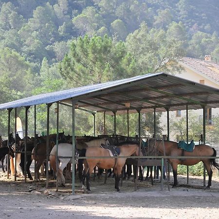 Alojamientos Rural Tejerina Arroyo Frio Buitenkant foto